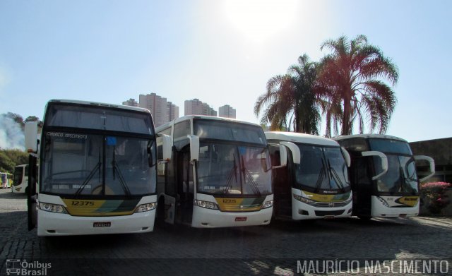 Empresa Gontijo de Transportes 12375 na cidade de Belo Horizonte, Minas Gerais, Brasil, por Maurício Nascimento. ID da foto: 5207310.