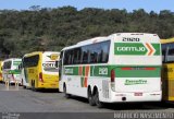 Empresa Gontijo de Transportes 21120 na cidade de Belo Horizonte, Minas Gerais, Brasil, por Maurício Nascimento. Número da foto: #5206393.