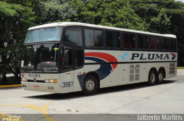Pluma Conforto e Turismo 3987 na cidade de São Paulo, São Paulo, Brasil, por Gilberto Martins. Número da foto: #5209325.