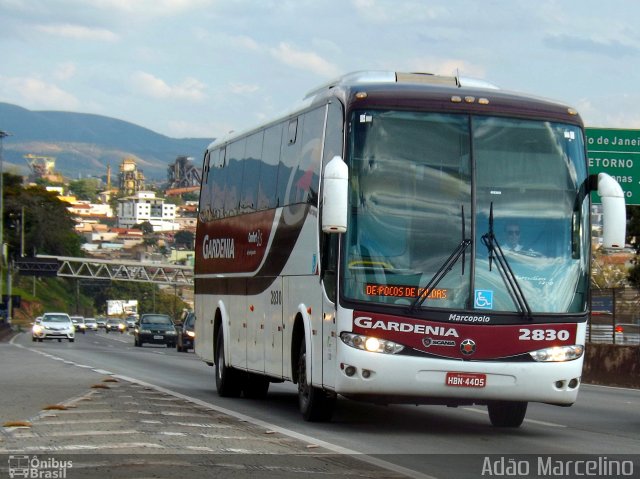 Expresso Gardenia 2830 na cidade de Belo Horizonte, Minas Gerais, Brasil, por Adão Raimundo Marcelino. Número da foto: #5167467.