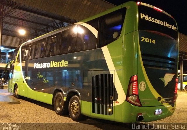 Pássaro Verde 2014 na cidade de Itabirito, Minas Gerais, Brasil, por Daniel Junior Sena. Número da foto: #5168049.