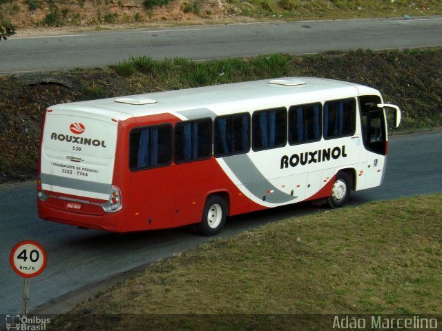 Rouxinol 530 na cidade de Belo Horizonte, Minas Gerais, Brasil, por Adão Raimundo Marcelino. ID da foto: 5216154.