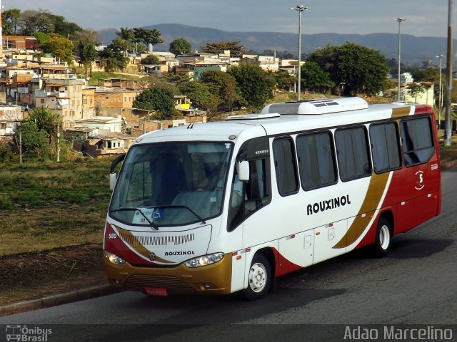 Rouxinol 580 na cidade de Belo Horizonte, Minas Gerais, Brasil, por Adão Raimundo Marcelino. ID da foto: 5216156.