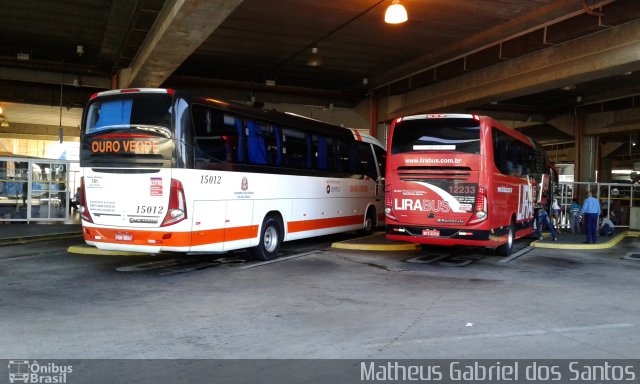 Lirabus 12233 na cidade de Campinas, São Paulo, Brasil, por Matheus Gabriel dos Santos. Número da foto: #5218930.