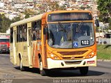 VSLL - Viação Santa Luzia 102 na cidade de Juiz de Fora, Minas Gerais, Brasil, por Luiz Krolman. Número da foto: #5217060.