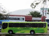 LG Transportes 0211 na cidade de Serra Talhada, Pernambuco, Brasil, por Lucas Ramon. Número da foto: #5218140.