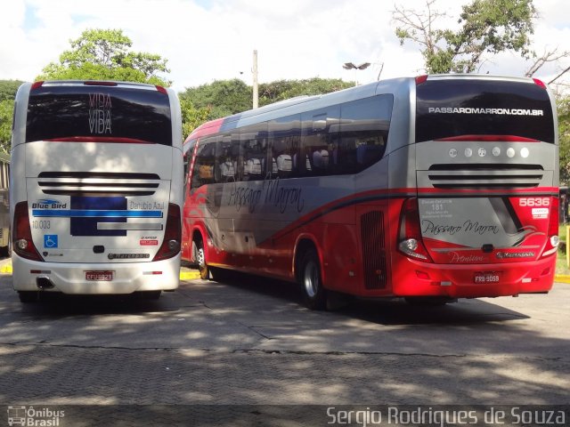 VIDA - Viação Danúbio Azul 10003 na cidade de São Paulo, São Paulo, Brasil, por Sergio Rodrigues de Souza. Número da foto: #5220371.
