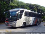 Empresa de Ônibus Pássaro Marron 45301 na cidade de São Paulo, São Paulo, Brasil, por Sergio Rodrigues de Souza. Número da foto: #5220341.