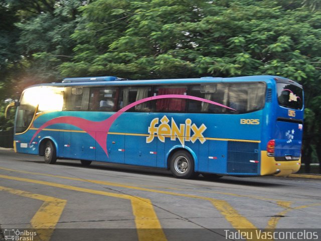 Rápido Expresso Fênix Viação 13025 na cidade de São Paulo, São Paulo, Brasil, por Tadeu Vasconcelos. Número da foto: #5224306.