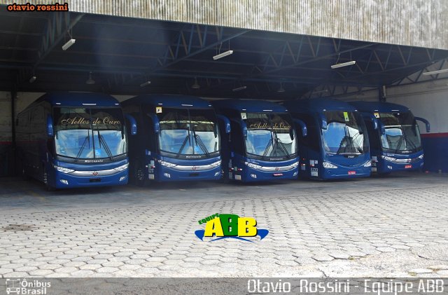 Bia Turismo > Aellos de Ouro 8219 na cidade de Sorocaba, São Paulo, Brasil, por Otavio Rossini. Número da foto: #5228388.