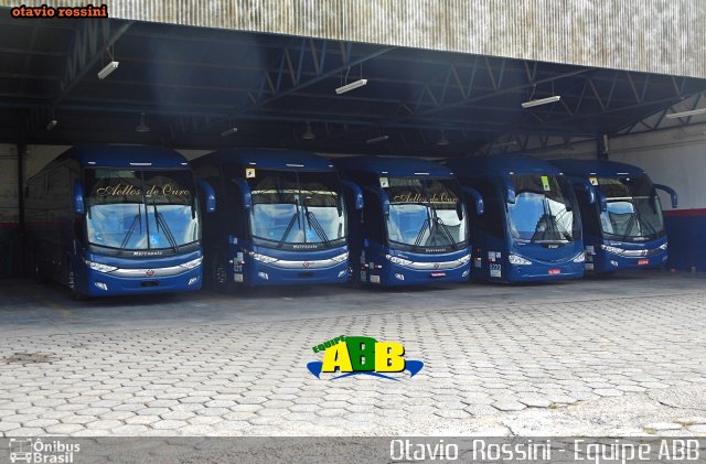 Bia Turismo > Aellos de Ouro 8219 na cidade de Sorocaba, São Paulo, Brasil, por Otavio Rossini. ID da foto: 5228388.