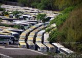 Empresa Gontijo de Transportes 9345 na cidade de Belo Horizonte, Minas Gerais, Brasil, por Maurício Nascimento. Número da foto: #5227918.