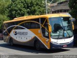 Viação Progresso 32313 na cidade de Muriaé, Minas Gerais, Brasil, por Christian  Fortunato. Número da foto: #5232202.