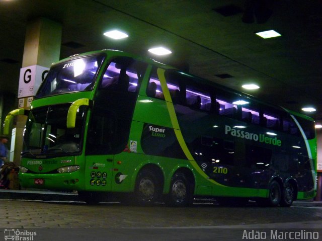 Pássaro Verde 2110 na cidade de Belo Horizonte, Minas Gerais, Brasil, por Adão Raimundo Marcelino. Número da foto: #5234922.