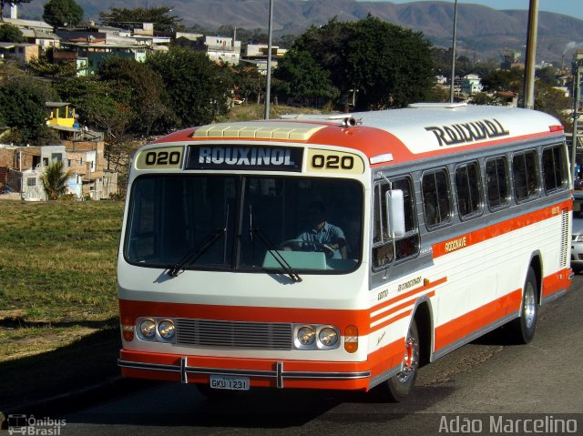 Rouxinol 020 na cidade de Belo Horizonte, Minas Gerais, Brasil, por Adão Raimundo Marcelino. Número da foto: #5234856.