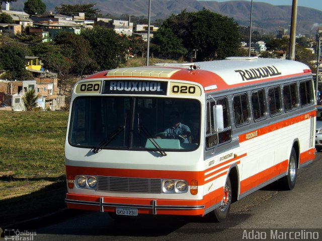 Rouxinol 020 na cidade de Belo Horizonte, Minas Gerais, Brasil, por Adão Raimundo Marcelino. ID da foto: 5234856.