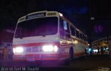 Rouxinol 020 na cidade de São Paulo, São Paulo, Brasil, por Raphael José da Silva. Número da foto: #5235099.