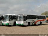 Empresa de Transportes Andorinha 5305 na cidade de Presidente Prudente, São Paulo, Brasil, por Diego K420 . Número da foto: #:id.