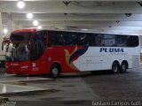 Pluma Conforto e Turismo 4931 na cidade de Joinville, Santa Catarina, Brasil, por Gustavo Campos Gatti. Número da foto: #5235618.