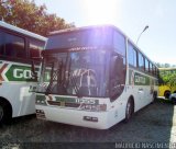 Empresa Gontijo de Transportes 11355 na cidade de Belo Horizonte, Minas Gerais, Brasil, por Maurício Nascimento. Número da foto: #5238161.