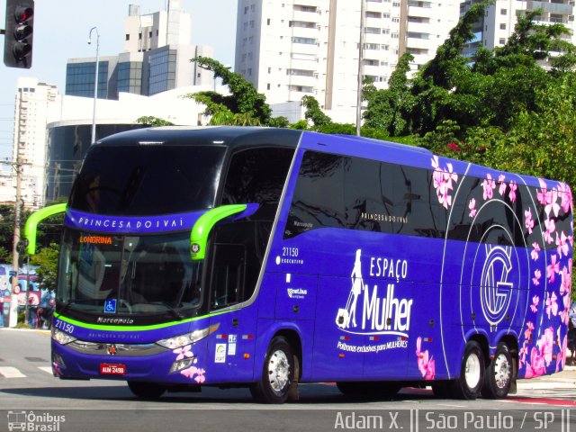 Princesa do Ivaí 21150 na cidade de São Paulo, São Paulo, Brasil, por Adam Xavier Rodrigues Lima. ID da foto: 5239283.