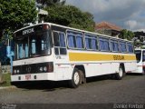 VN Transportes 7781 na cidade de Carlos Barbosa, Rio Grande do Sul, Brasil, por Daniel Kerber. Número da foto: #5238870.