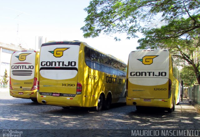 Empresa Gontijo de Transportes 12660 na cidade de Belo Horizonte, Minas Gerais, Brasil, por Maurício Nascimento. ID da foto: 5177136.