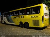 Empresa Gontijo de Transportes 12295 na cidade de João Monlevade, Minas Gerais, Brasil, por Fabrício Rodrigo Telles. Número da foto: #5176647.
