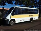 Escolares 9274 na cidade de Toledo, Paraná, Brasil, por Marcelo Santos Moraes. Número da foto: #5176946.