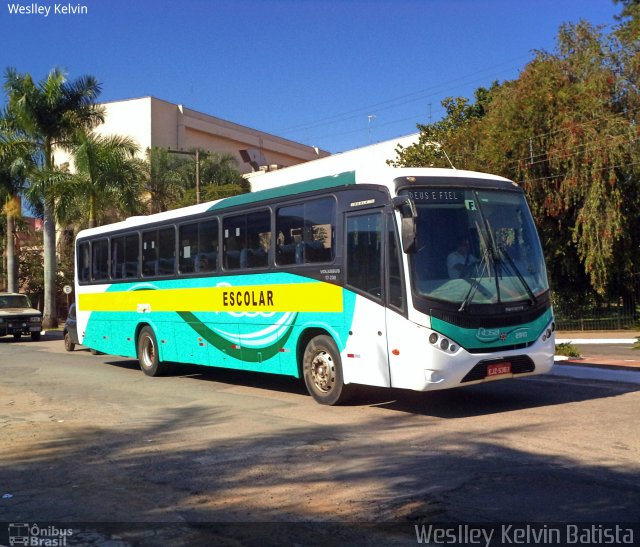 Rosa Turismo 2910 na cidade de Tatuí, São Paulo, Brasil, por Weslley Kelvin Batista. Número da foto: #5179056.