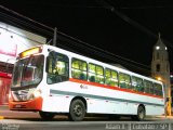 Viação Bom Jesus > VTL - Viação Trans Líder 1316 na cidade de Cubatão, São Paulo, Brasil, por Adam Xavier Rodrigues Lima. Número da foto: #5181493.