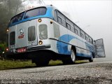 Cati Rose Transporte de Passageiros 017 na cidade de Santo André, São Paulo, Brasil, por Raphael José da Silva. Número da foto: #5181731.