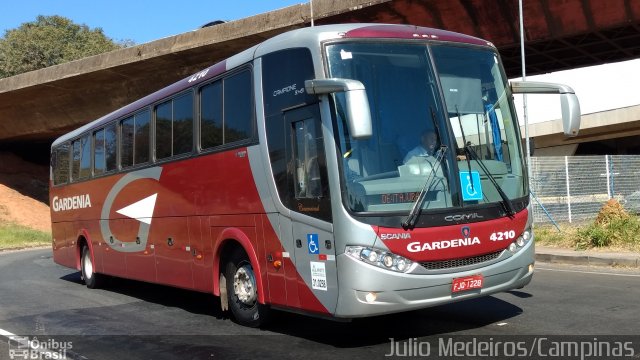 Expresso Gardenia 4210 na cidade de Campinas, São Paulo, Brasil, por Julio Medeiros. Número da foto: #5242791.