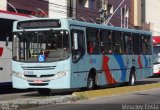 Terra Luz Transportes 41958 na cidade de Fortaleza, Ceará, Brasil, por Wescley  Costa. Número da foto: #5265721.