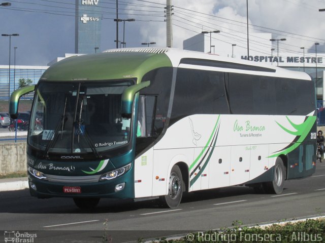 Asa Branca Turismo 20128 na cidade de Caruaru, Pernambuco, Brasil, por Rodrigo Fonseca. Número da foto: #5267397.