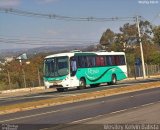 Rosa Turismo 2952 na cidade de Sorocaba, São Paulo, Brasil, por Weslley Kelvin Batista. Número da foto: #5272459.