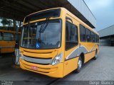 Transportes Coletivos Nossa Senhora da Piedade 443 na cidade de Campo Largo, Paraná, Brasil, por Diego Bianco. Número da foto: #:id.