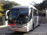 Empresa de Ônibus Pássaro Marron 45601 na cidade de São Paulo, São Paulo, Brasil, por Alberto Selinke. Número da foto: #5274962.