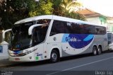 GGuida - Graça e Guida Transportes e Turismo 4400 na cidade de Joinville, Santa Catarina, Brasil, por Diego Lip. ID da foto: :id.