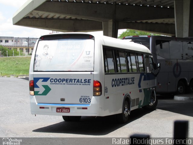 Coopertalse 6103 na cidade de Aracaju, Sergipe, Brasil, por Rafael Rodrigues Forencio. Número da foto: #5280270.
