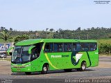Pássaro Verde 11100 na cidade de João Monlevade, Minas Gerais, Brasil, por Antonio Carlos Fernandes. Número da foto: #:id.