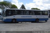 Viação Nossa Senhora Conquistadora 185 na cidade de Pelotas, Rio Grande do Sul, Brasil, por Felipe Ferreira Ribeiro. Número da foto: #5281317.