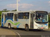 Via Ágil - Transporte Coletivo de Piracicaba 113005 na cidade de Piracicaba, São Paulo, Brasil, por Diego Leão. Número da foto: #5281247.