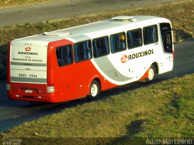Rouxinol 313 na cidade de Belo Horizonte, Minas Gerais, Brasil, por Adão Raimundo Marcelino. Número da foto: #5287390.
