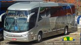Bia Turismo > Aellos de Ouro 8221 na cidade de Sorocaba, São Paulo, Brasil, por Otavio Rossini. Número da foto: #5244598.