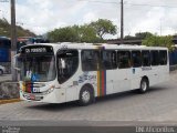 Transcol - Transportes Coletivos Ltda. 452 na cidade de Recife, Pernambuco, Brasil, por Danilo Elisio da Costa. Número da foto: #5245771.