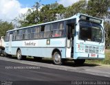 Ônibus Particulares 1019 na cidade de Pelotas, Rio Grande do Sul, Brasil, por Felipe Ferreira Ribeiro. Número da foto: #5243652.