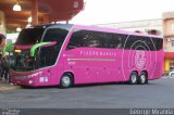 Viação Garcia 7279 na cidade de Umuarama, Paraná, Brasil, por George Miranda. Número da foto: #5289645.