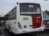 Transwolff Transportes e Turismo 7 8460  na cidade de São Paulo, São Paulo, Brasil, por Roberto Teixeira. Número da foto: #5292006.