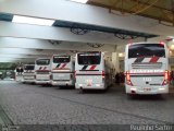Auto Viação Catarinense 3133 na cidade de Joinville, Santa Catarina, Brasil, por Paulinho Sartor. Número da foto: #5291598.